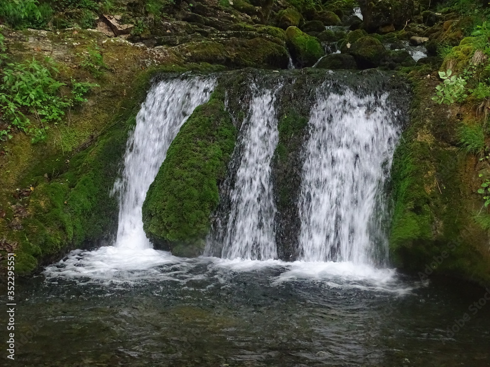 waterfall in the forest waterfall in the forest