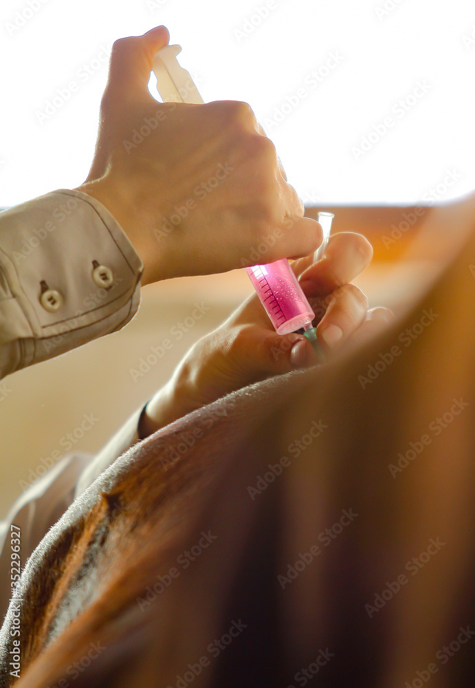 Vet is making a medicine injection to a horse