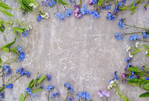 Bouquet of blue, pink and white forget-me-nots on a gray concrete background. Spring flowers. Top view, copyspace