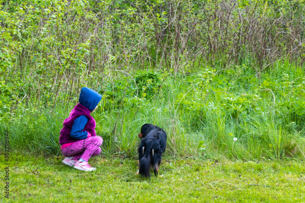 kid with small black do against green jusy grass kid with small black do against green jusy grass