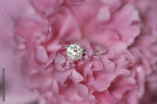 wedding rings on pink rose