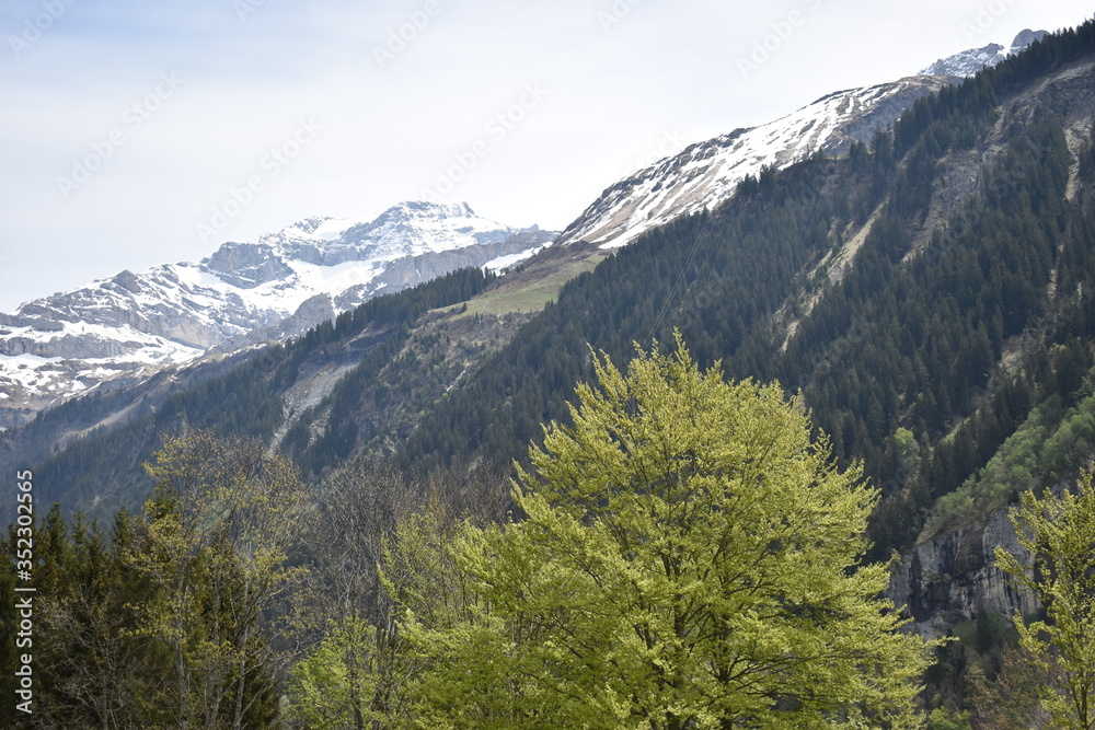Fototapeta premium Klausenpass in der Schweiz Berglandschaft 8.5.2020