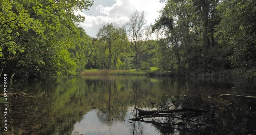 grand étang dans un parc 