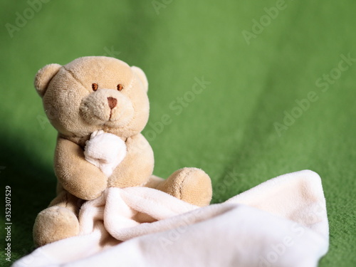 Fotografie teddy bear on green background