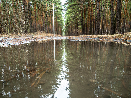 Reflection of trees in a big puddle after rain a path in a coniferous forest from Ural Mountains.
