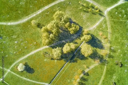 Trees in the summer park to...