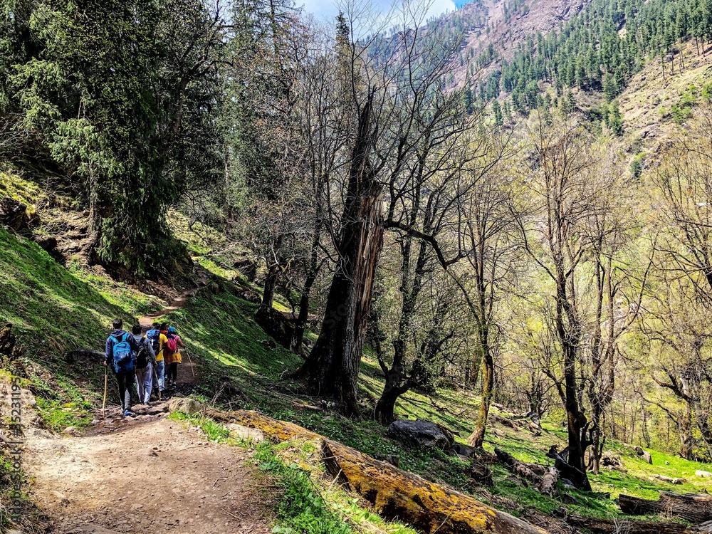 Fototapeta premium hiking in the mountains