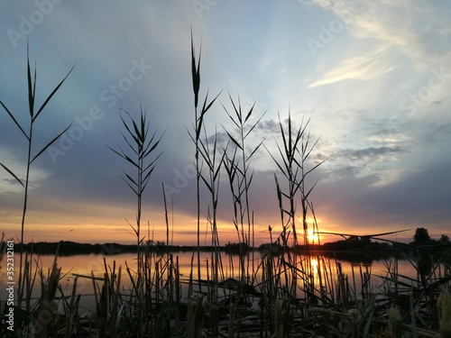 Tranquil and calm landscape