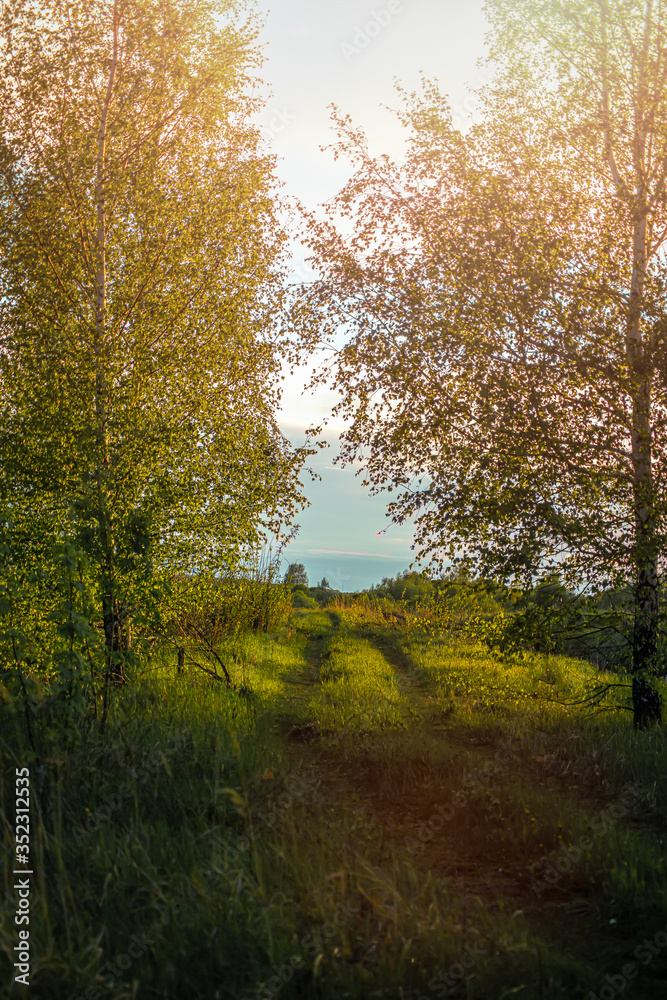 spring landscape at sunset, spring, road spring landscape at sunset, spring, road