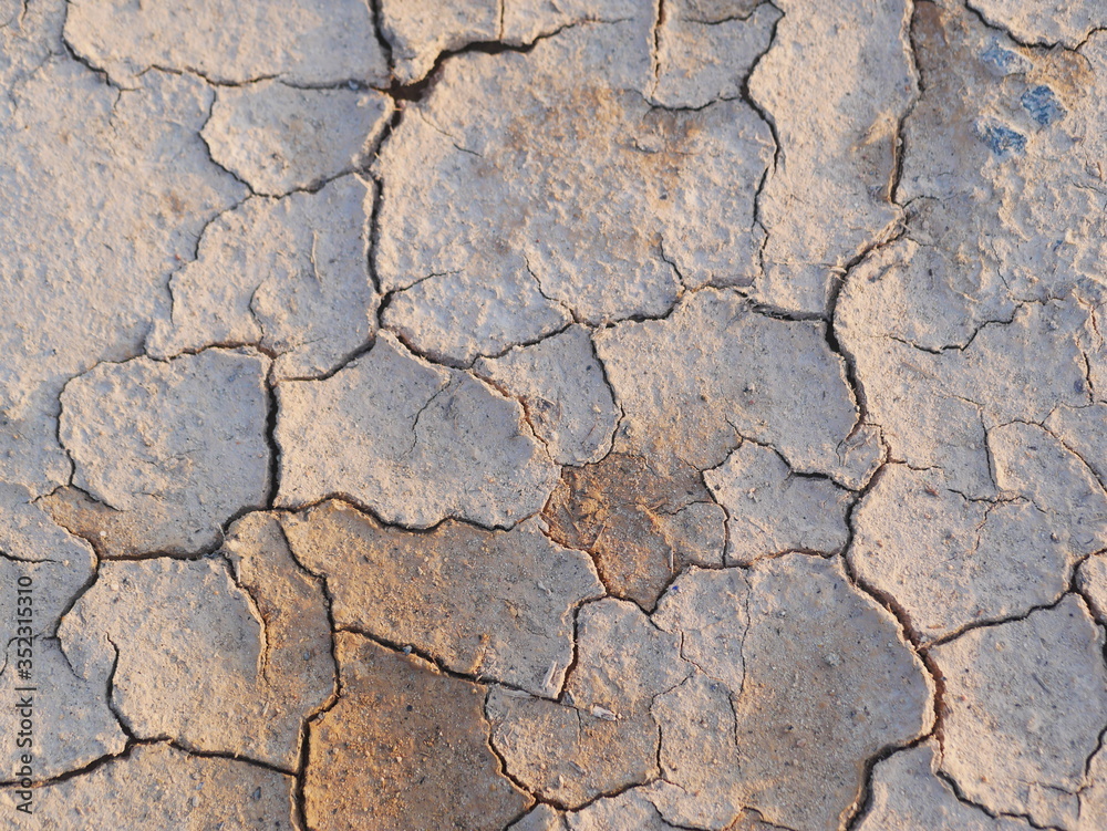 Dry cracked soil ground texture in fields Dry cracked soil ground texture in fields