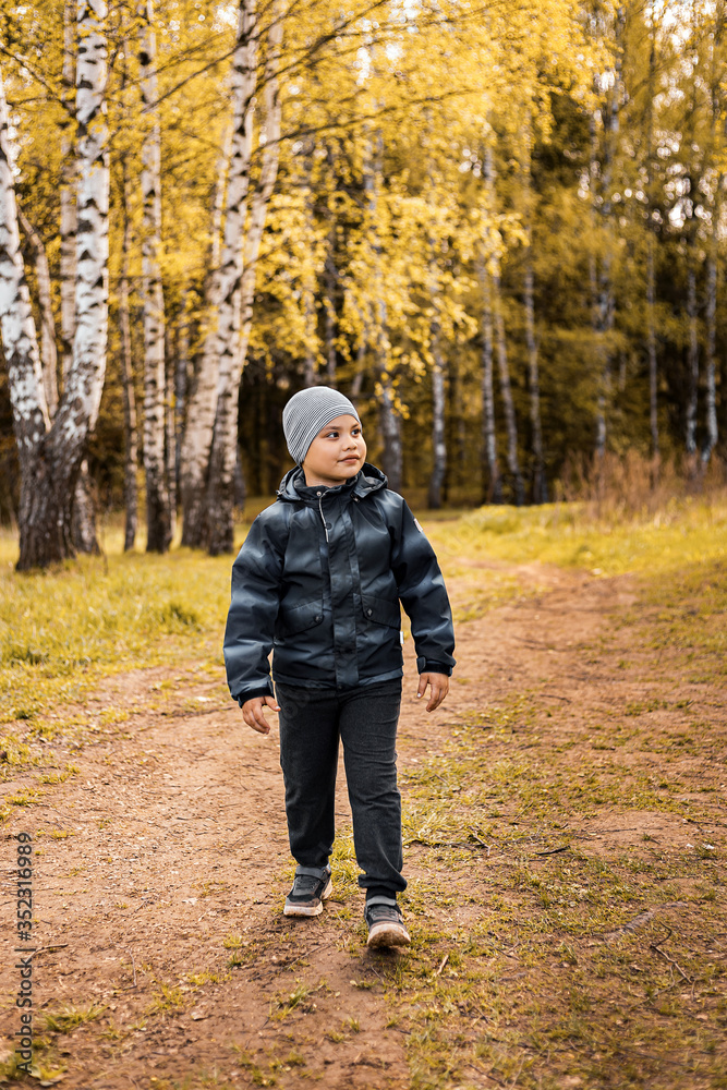 small boy walks through a mixed forest, looking at nature small boy walks through a mixed forest, looking at nature