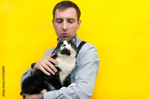 handsome cheerful man in blue shirt holding and looking at cute black and white taxedo cat in front of yellow background photo