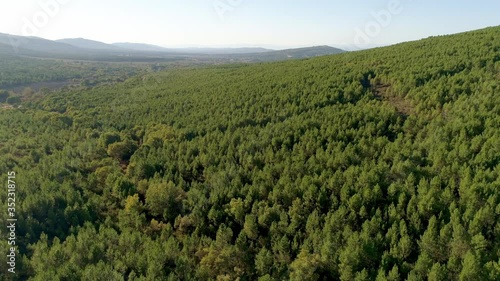 Aerial images of forests and nature