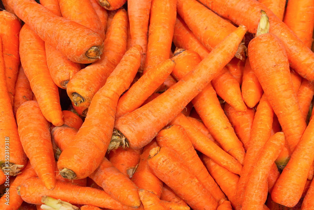 Pile of carrots close-up. Young vegetables are laid out on the counter. The concept of vitamins from a natural product, a culinary ingredient. Pile of carrots close-up. Young vegetables are laid out on the counter. The concept of vitamins from a natural product, a culinary ingredient.