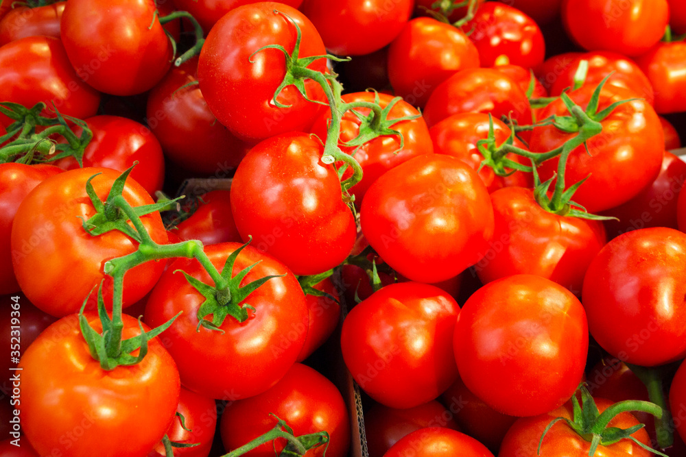A bunch of fresh, ripe, red tomatoes with green twigs are on the counter in the store. The concept of obtaining vitamins from naturally grown healthy vegetables.