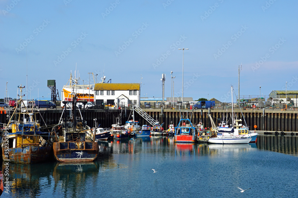 Small harbour in fishing village of Portavogie in County Down, Northern Ireland 