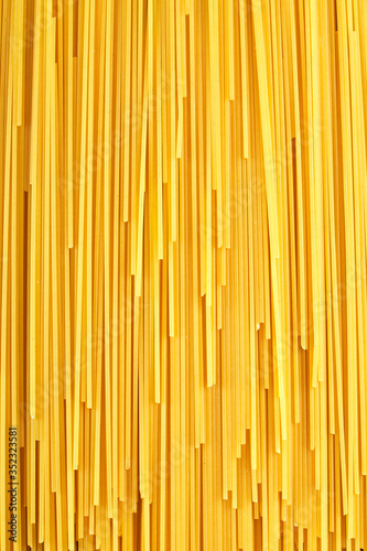 Raw Pasta, Spaghetti, Cannelloni, Farfalle, Campanella, Cavatappi, Conquilla, Fettuccine, Lasagna, Penne, Tagliatelle, on a black background