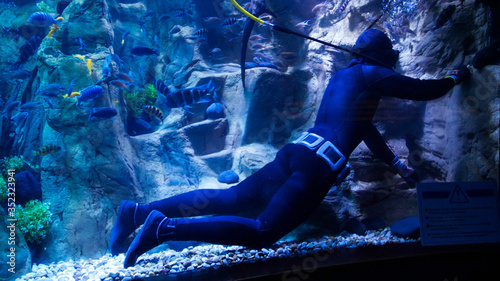 Billede på lærred Underwater image of professional diver cleaning big aquarium in the zoo or shopp