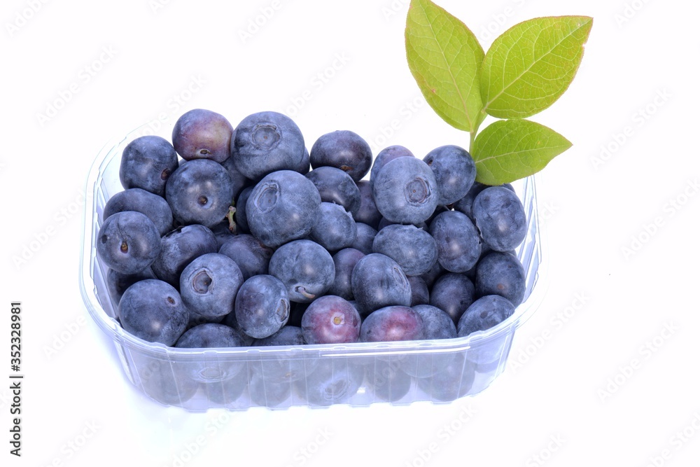 Blueberries Blueberries