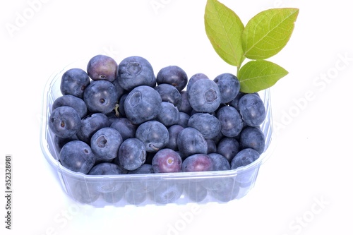 Wallpaper Mural Blueberries Torontodigital.ca