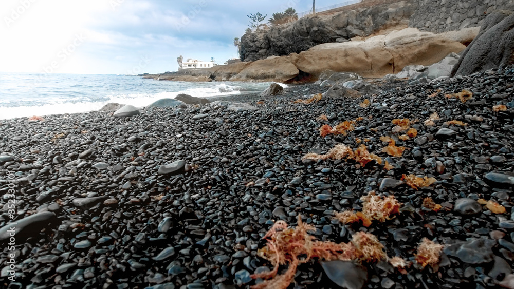 Closeup image of seaweeds and wet rocks lying on the sea beach