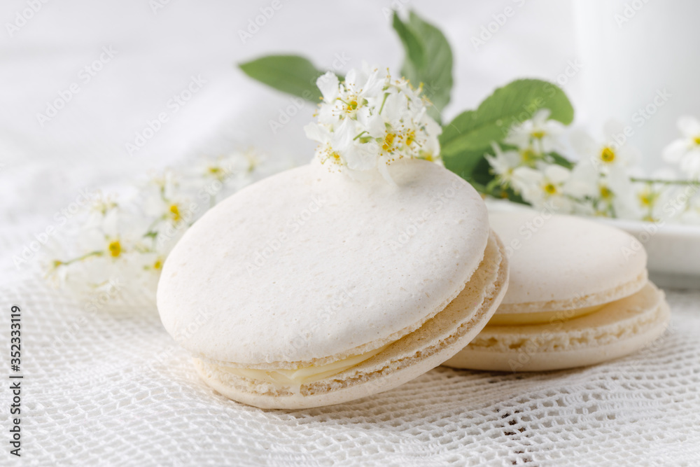 White french macaroon close up on table with flowers