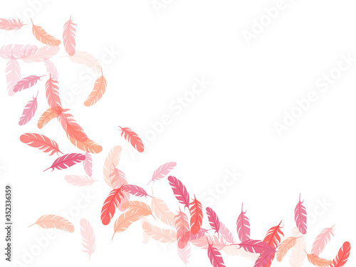Flying feather elements airy vector design.