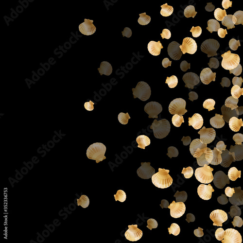 Gold seashells vector, golden pearl bivalved mollusks. 