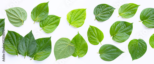 Tableau sur toile Green betel leaves, Fresh piper betle on white background.