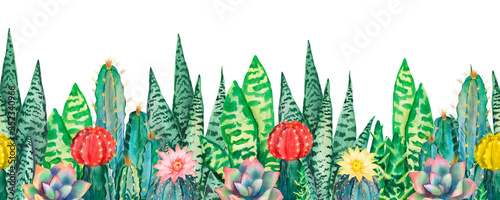 Akwarela bezszwowe wzór granicy różnych kaktusów
