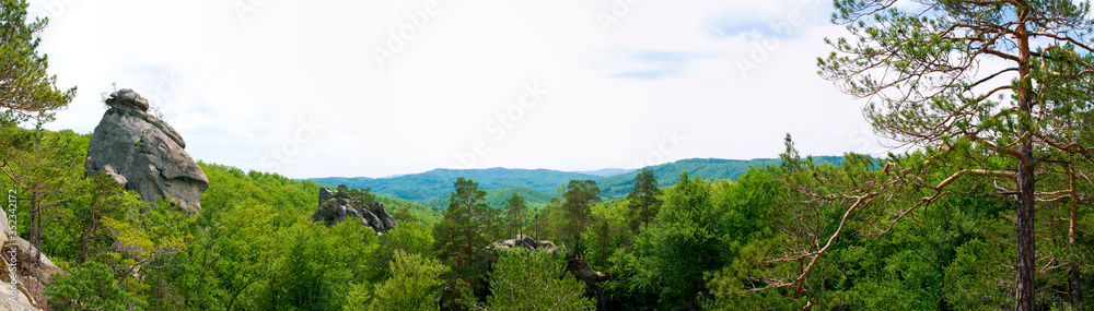 Beauitful green forest photo. Pine trees and a path in the forest. Summer mountain background. Rila mountain, Bulgaria Beauitful green forest photo. Pine trees and a path in the forest. Summer mountain background. Rila mountain, Bulgaria