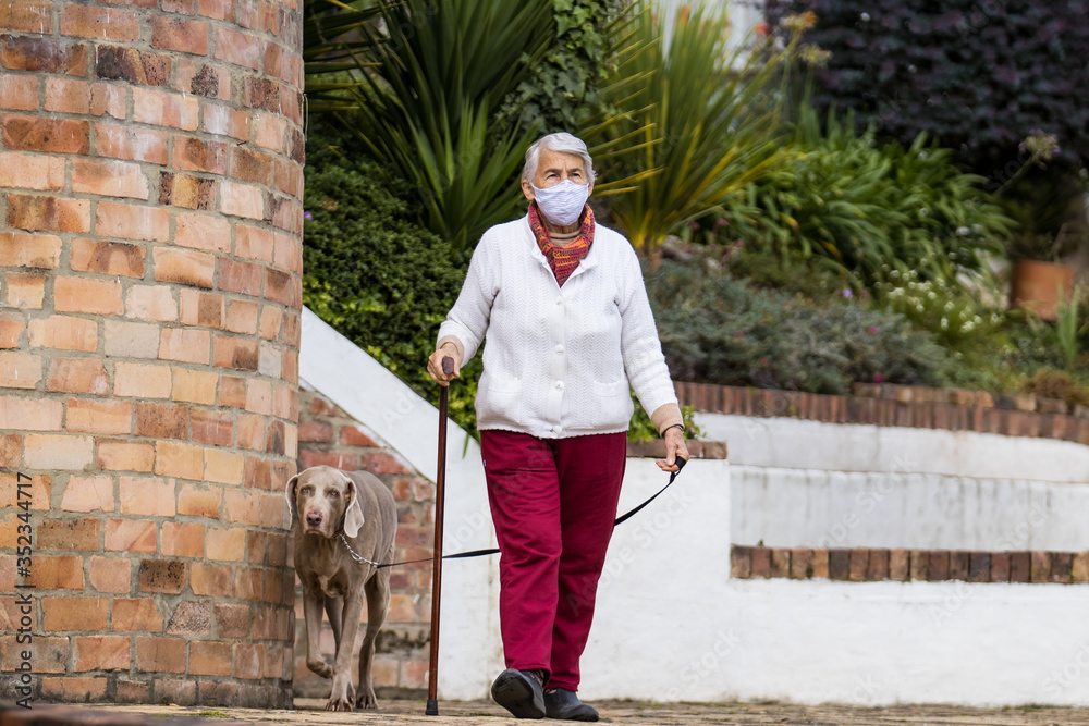Senior woman wearing a home made face mask and having a short walk outdoors with her pet during the coronavirus quarantine de-escalation