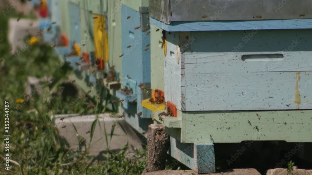 Blue, green and yellow beehives. Blue, green and yellow beehives.