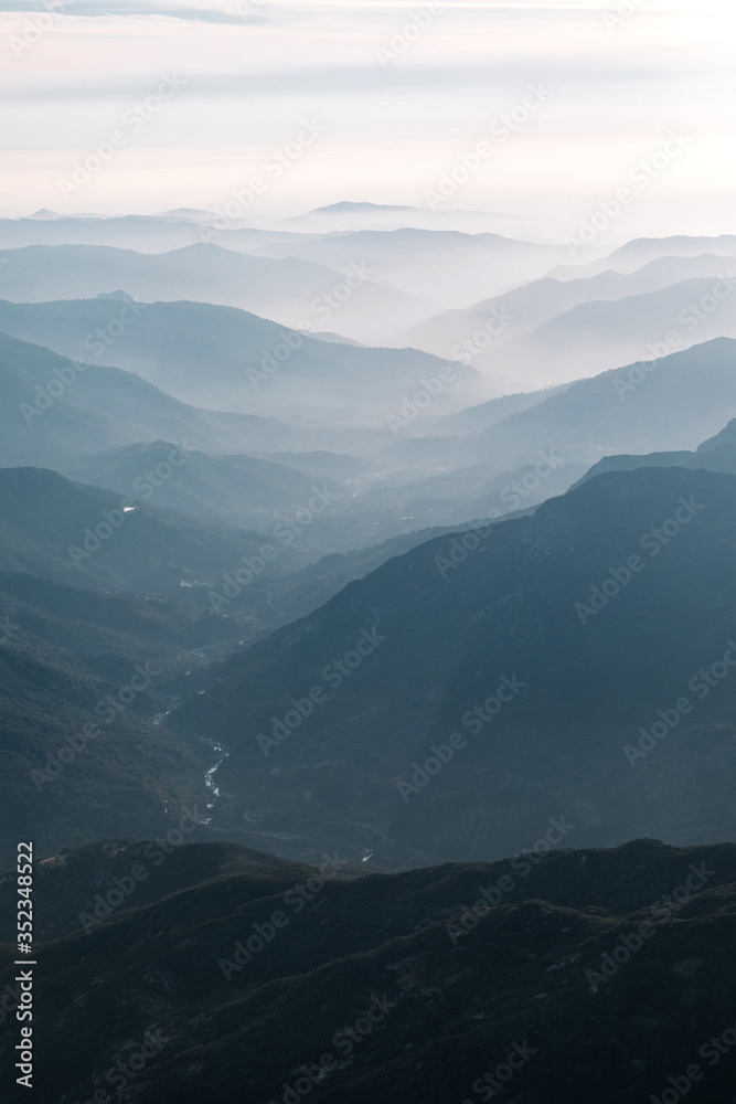 Fototapeta premium Sunset over redwood trees in Sequoia National Park, California, USA