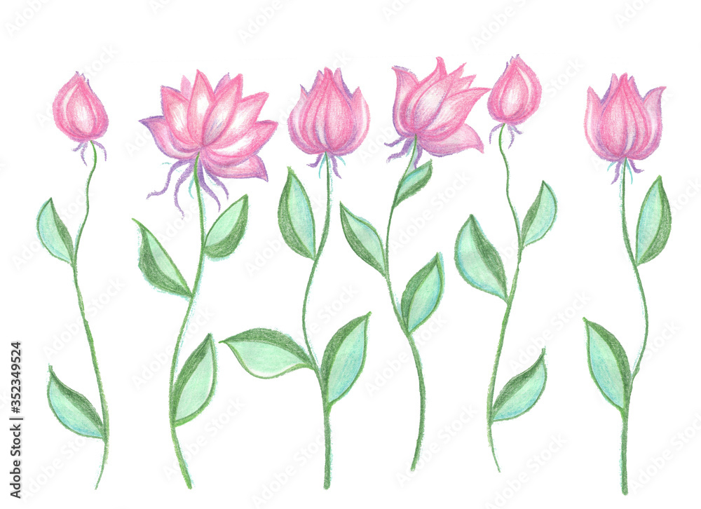 custom made wallpaper toronto digitalpink flowers, six botany sprouts, blooms with buds