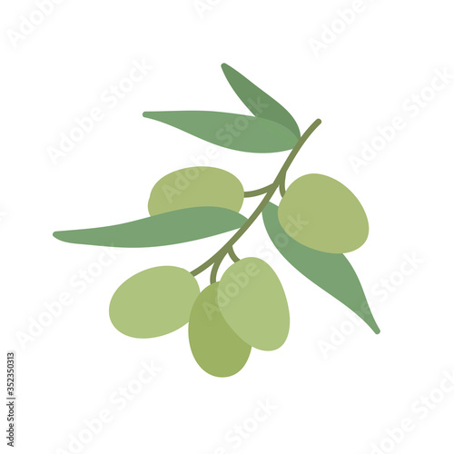 olive tree doodle icon, vector illustration