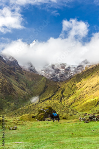Salkantay Trekking in Peru  South America