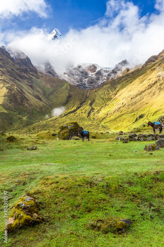 Salkantay Trekking in Peru  South America