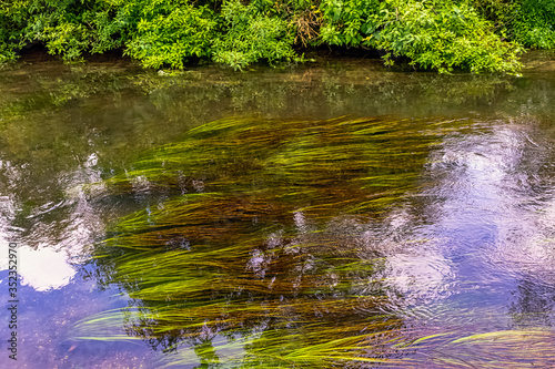 River Test in Mottisfont, Hampshire, United Kingdom