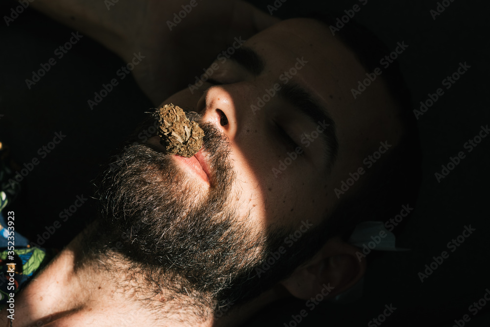 Naklejka premium Man with a fresh cannabis bud in his mouth