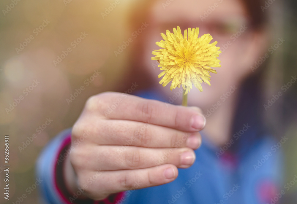 Little girl holding a yellow flower in her hand outdoors. Female child showing and giving a tiny small dandelion flower. Close up, front view, blurred bokeh background, spring time. Little girl holding a yellow flower in her hand outdoors. Female child showing and giving a tiny small dandelion flower. Close up, front view, blurred bokeh background, spring time.