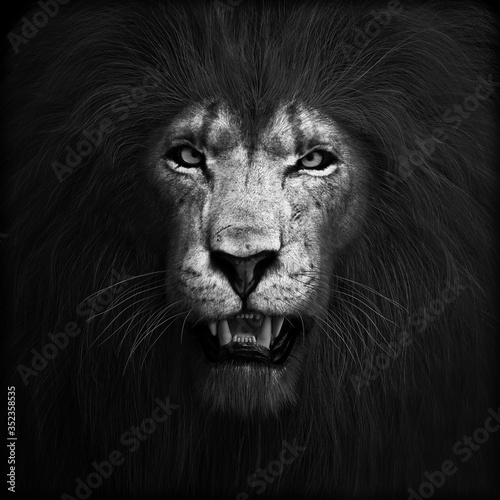 Fototapeta Naklejka Na Ścianę i Meble -  Portrait of a ferocious angry lion, lord of the jungle in black and white. 3d rendering
