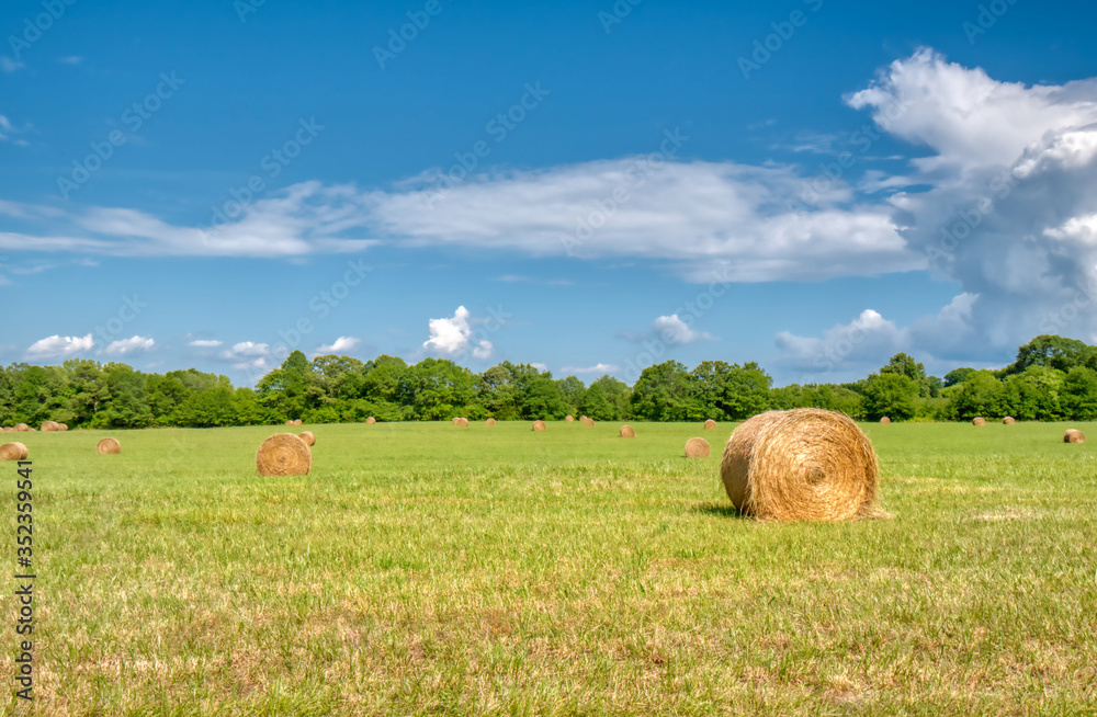 Hay bales in a fresh cut field with a beautiful blue sky.
