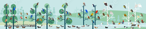 birds on landscape, colorful wild birds and horizontal view