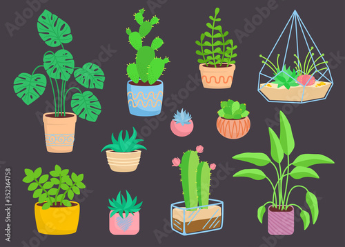 House indoor plant, potted ceramic set, flat cartoon flower. Succulents and house plants, cactus collection, monstera, aloe. Isolated vector illustration on dark background