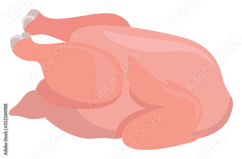 Raw chicken , illustration, vector on white background