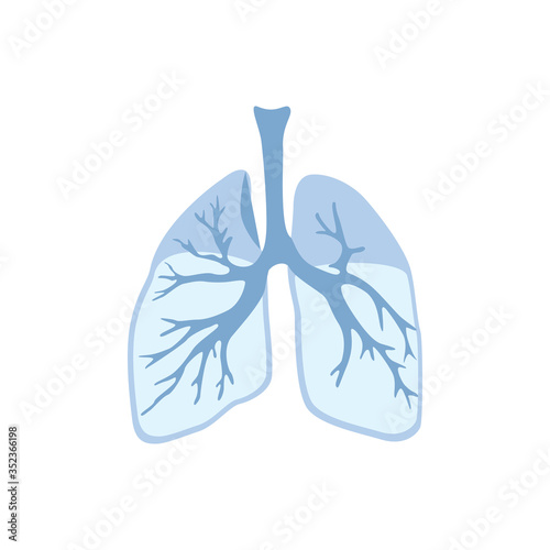 Lungs icon, isolated on white background. Internal organs of human design element. Anatomy, part of body. Respiratory system, breathing. World tuberculosis day. Trendy flat vector illustration