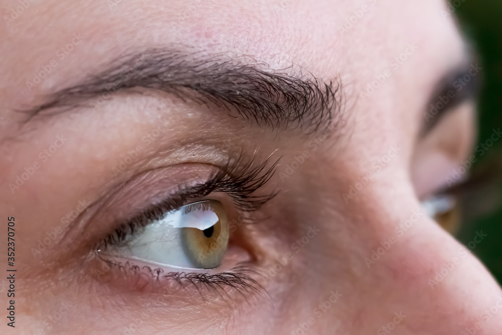 Fototapeta premium green eye