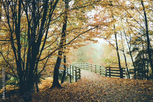 Fototapete Footbridge In Forest During Autumn