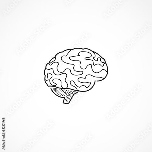 brain line icon. brain isolated line icon